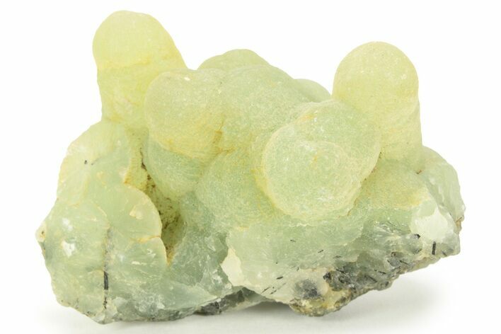 Botryoidal Prehnite and Epidote - Mali #220448